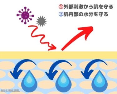 バリア機能２つの役割