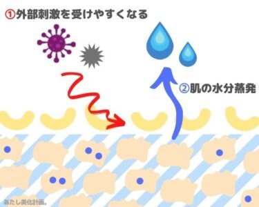 バリア機能低下のイメージ