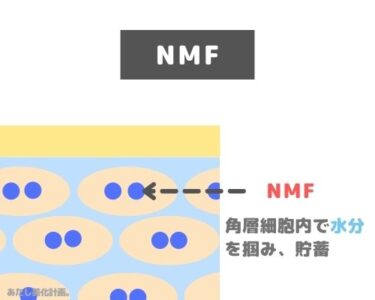 NMFの役割