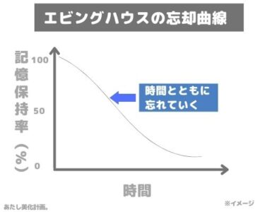 エビングハウスの忘却曲線 イメージ