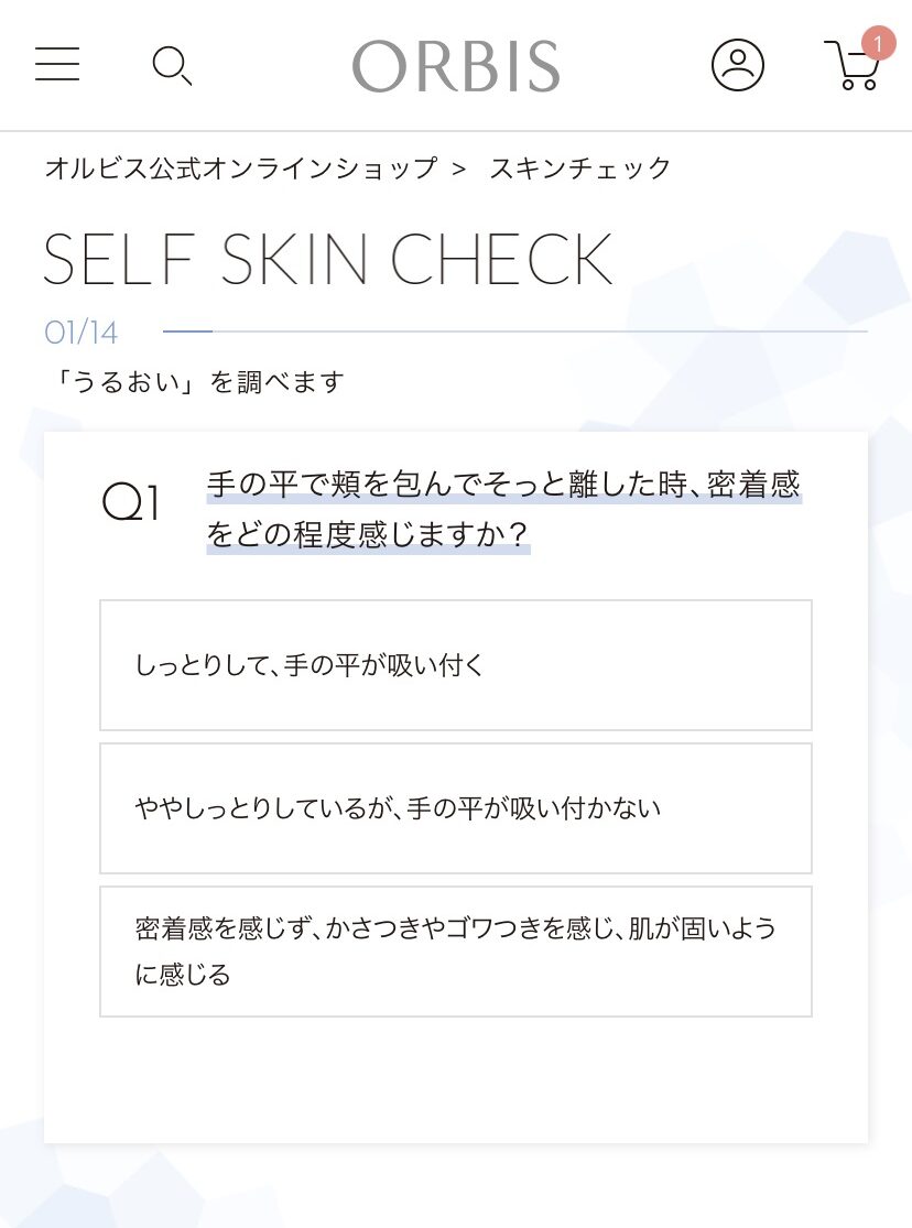 スキンチェック 14問